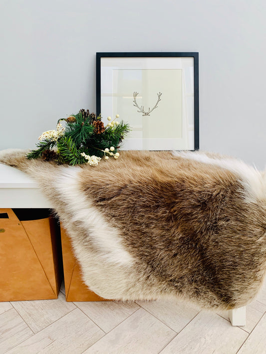 Best in Holiday Decor